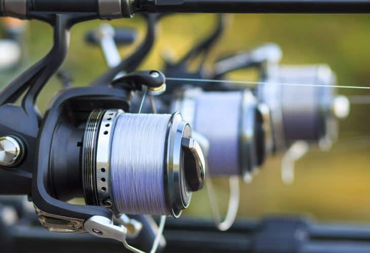 Best Fishing Reel