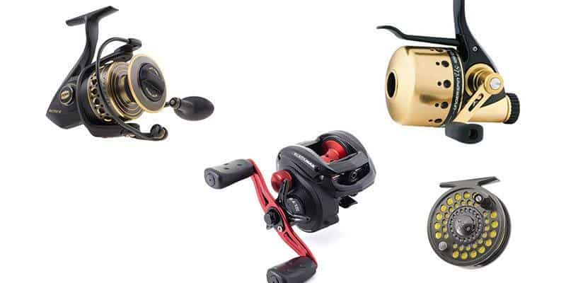 Types of Fishing Reels