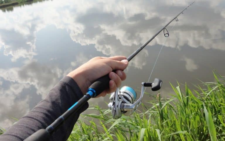 ultralight bass fishing